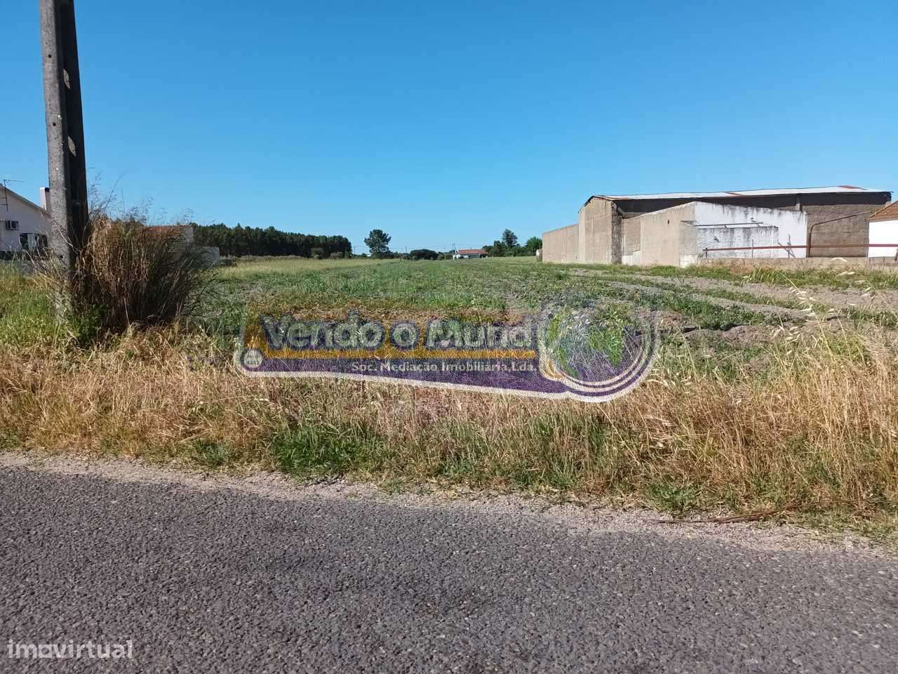 Terreno em Marinhais (M645) - Grande imagem: 4/5