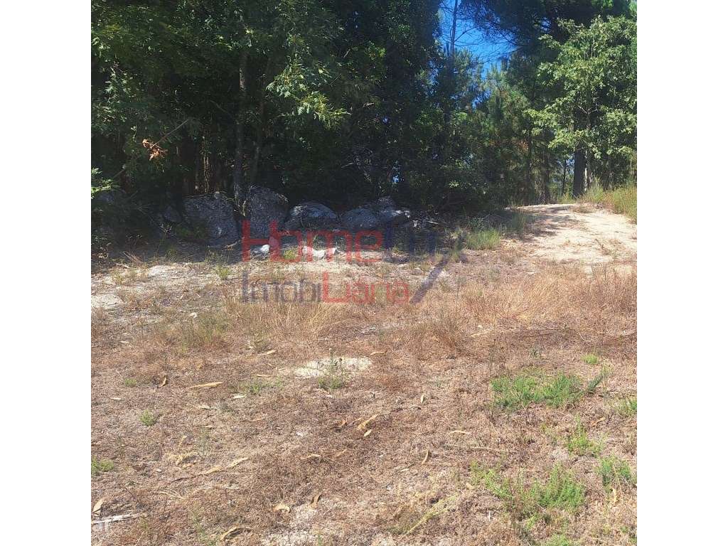 Terreno na Região de Gavião - Grande imagem: 4/9