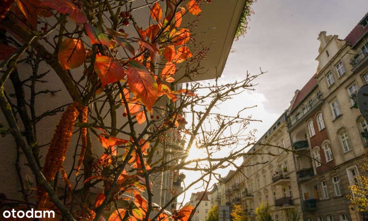 Kamienica z klimatem, m z balkonem-18