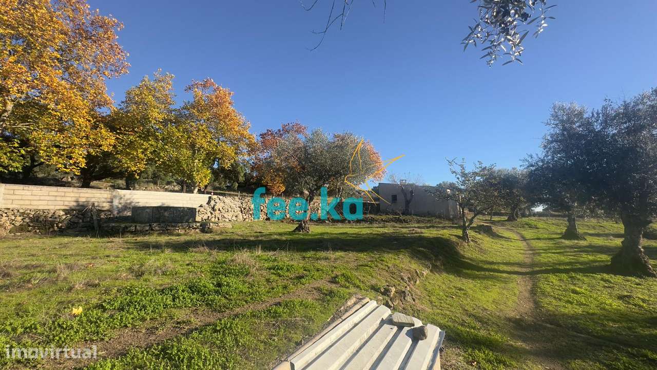 Quinta em Escalos de Baixo-6