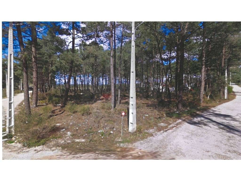 Terreno com excelente potencial - Grande imagem: 3/3