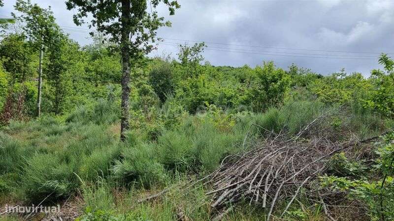 Terreno / Seia, Valezim - Grande imagem: 4/8