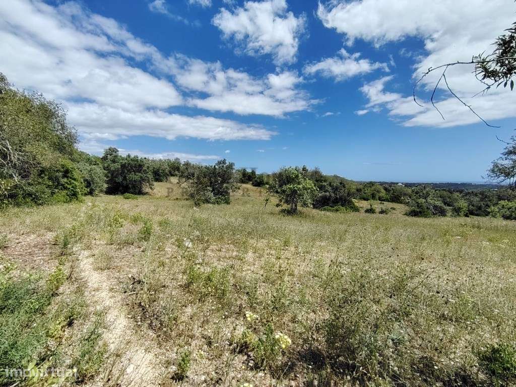 Vende-se vários terrenos rústicos com vista mar - Loulé - Grande imagem: 3/5