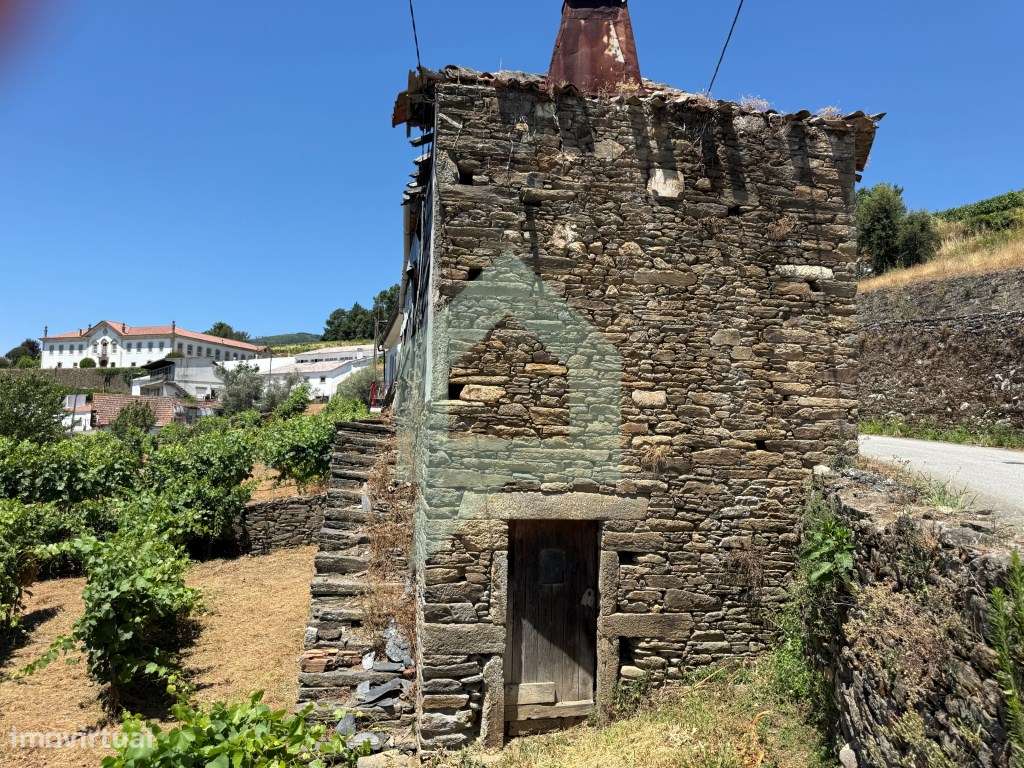 Casa de campo com projeto aprovado em Cidadelhe, Mesão Frio-25