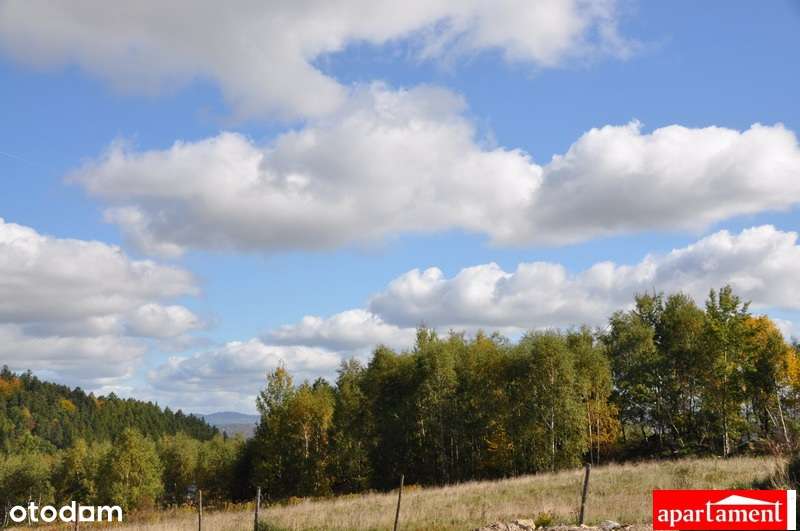 Wojcieszyce, atrakcyjne działki z widokiem na góry-11