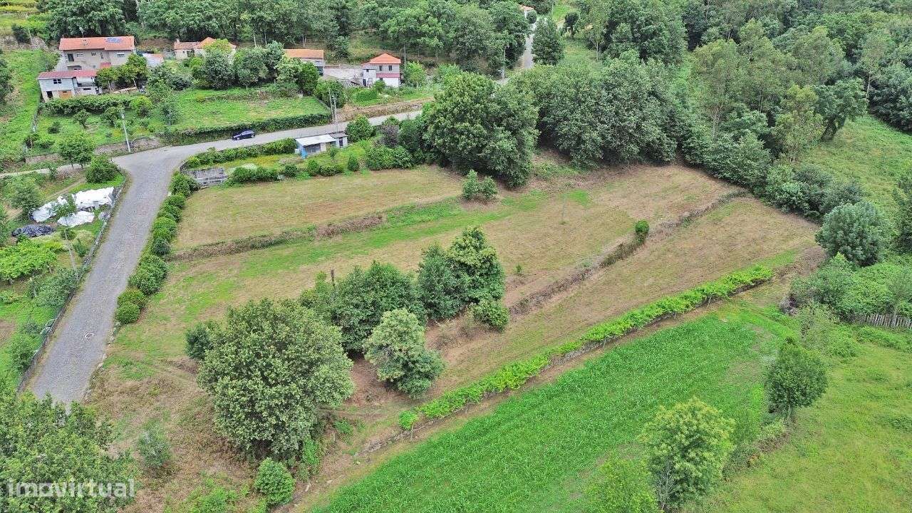 Terreno Agrícola - Grande imagem: 3/11