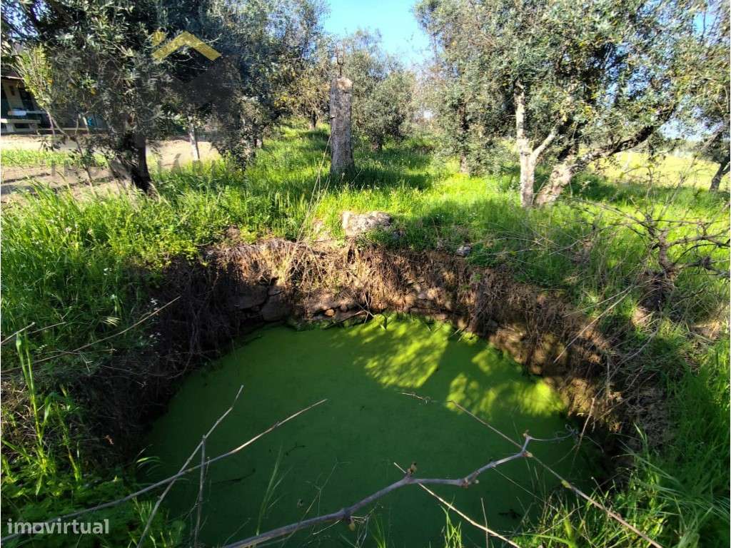 Quintinha de Charme: O Retiro Perfeito a um Passo da Cidade - Grande imagem: 3/10