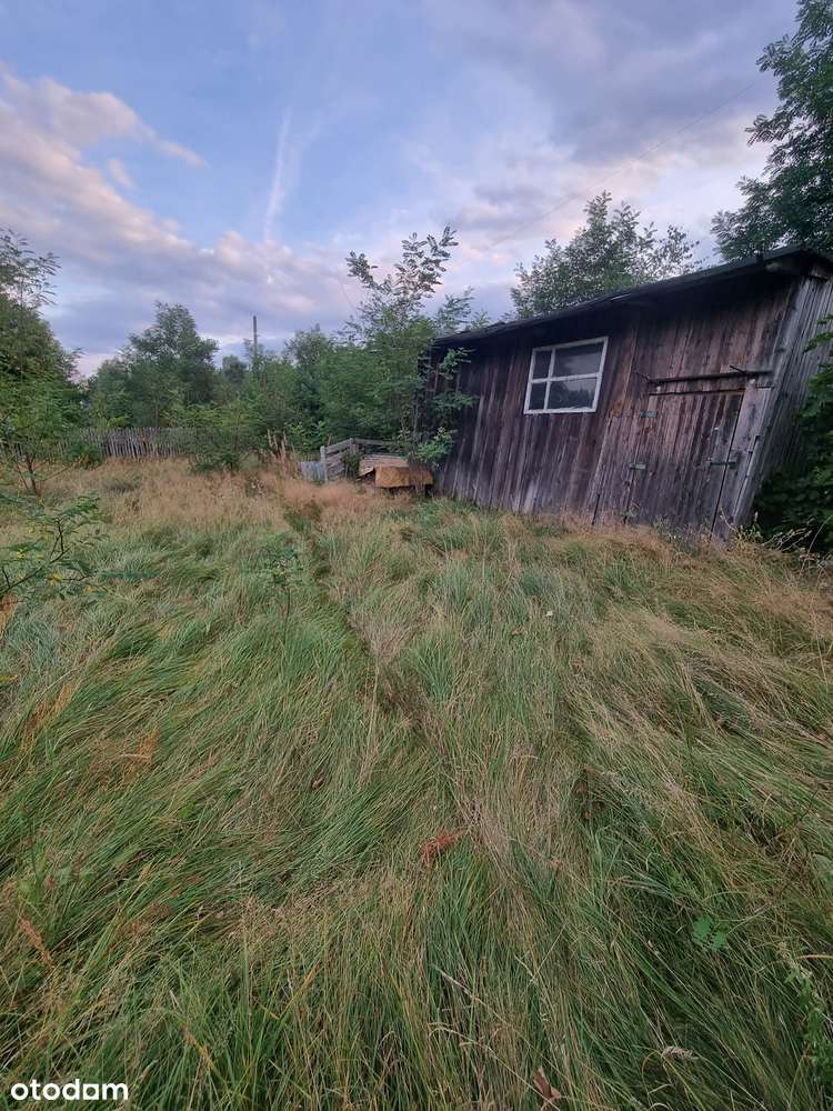 Dom 50 m2 na działce 6000 m2 Gatniki k/ Sielpi-17