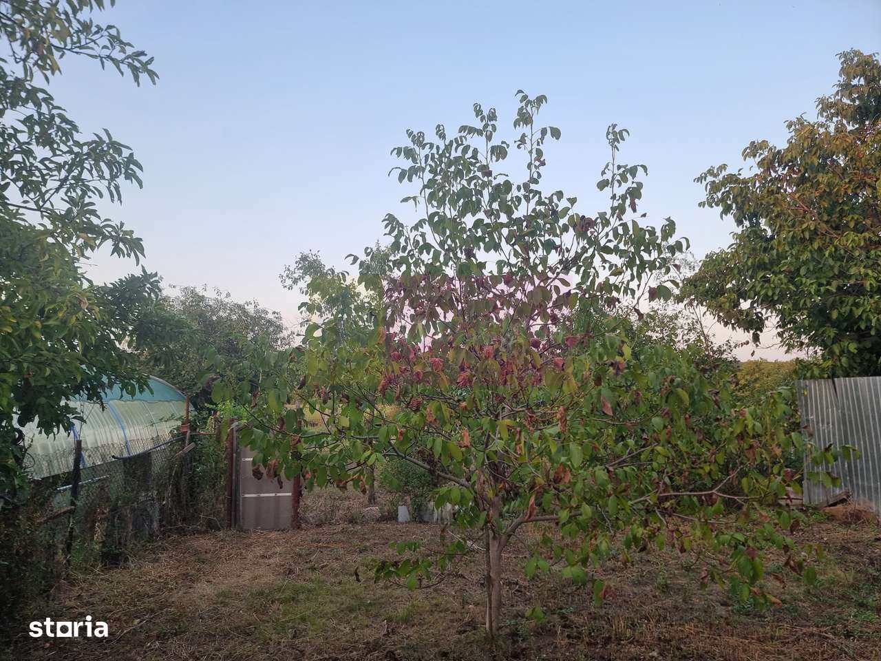 SADINA / GR - CASA P+1+M (5 CAM) DE VANZARE - Imagine principală: 5/20