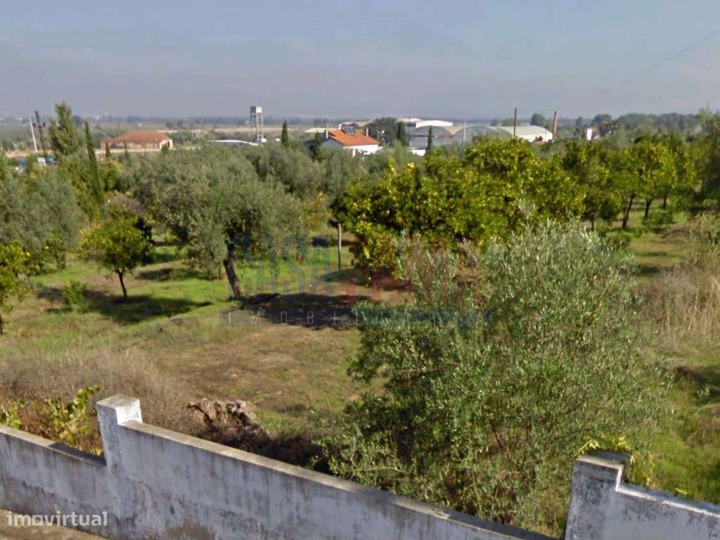 Terreno urbano na chamusca - Santarém - Grande imagem: 2/30