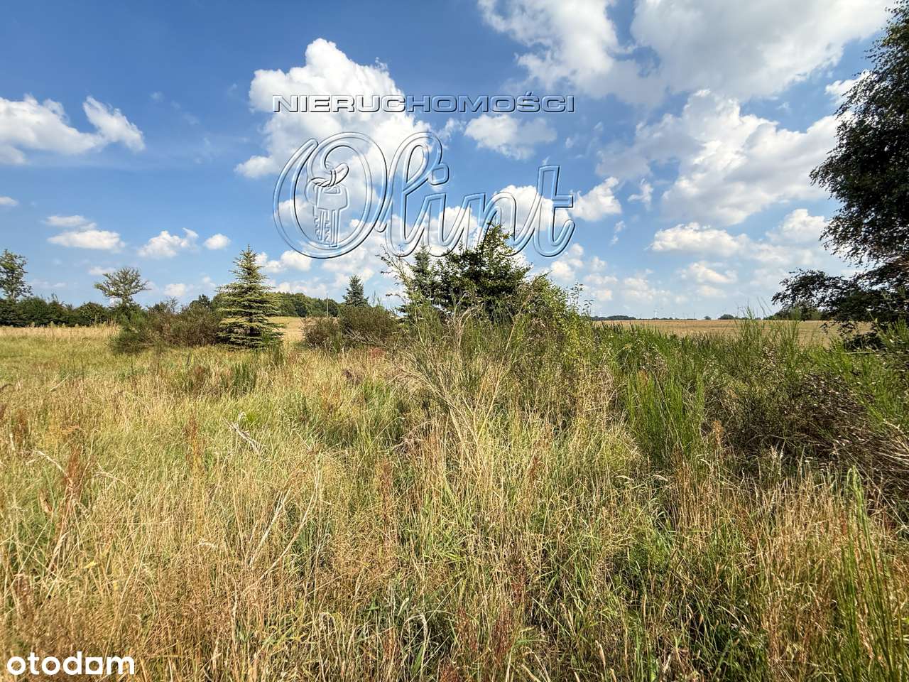 Działka z potencjałem w gm.Wicko - Pełny obrazek: 4/6