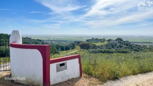 EXCELENTE Quinta com 15Ha de Terreno em Santarém