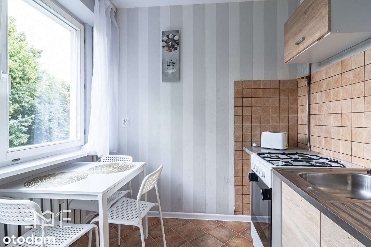 Dwustronne 4-pokoje z dużym potencjałem - Czechów - Pełny obrazek: 3/15