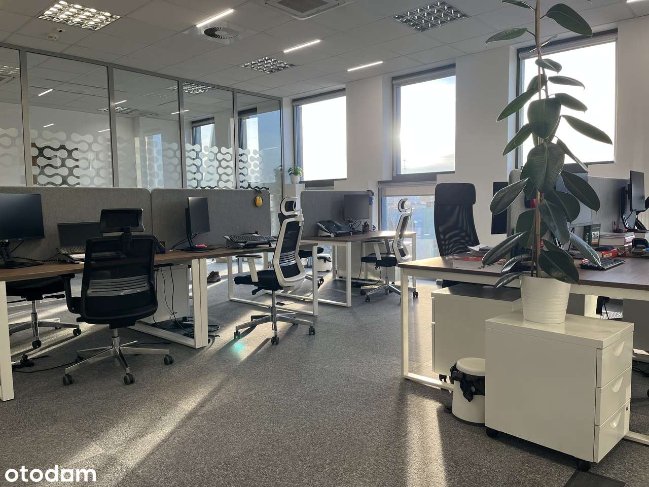 Najem krótkoterminowy, umeblowane biuro 204m2, Wrocław Krzyki Hubska - Pełny obrazek: 4/12