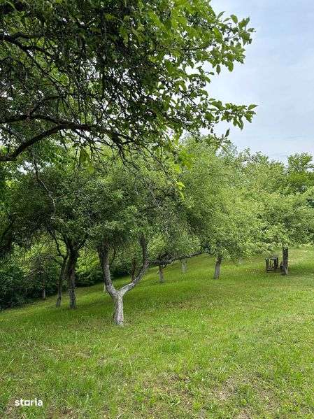 De inchiriat cabana de pe valea ORMANULUI - Imagine principală: 4/8