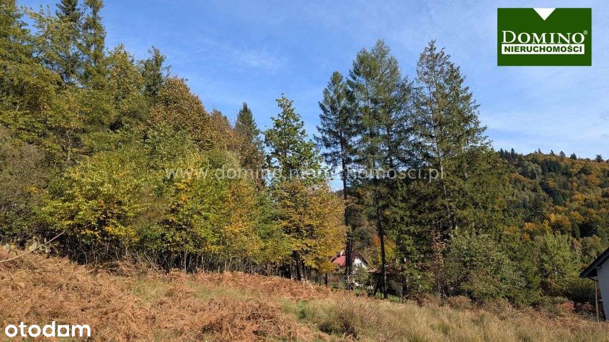 Wisła Działka budowlana-2