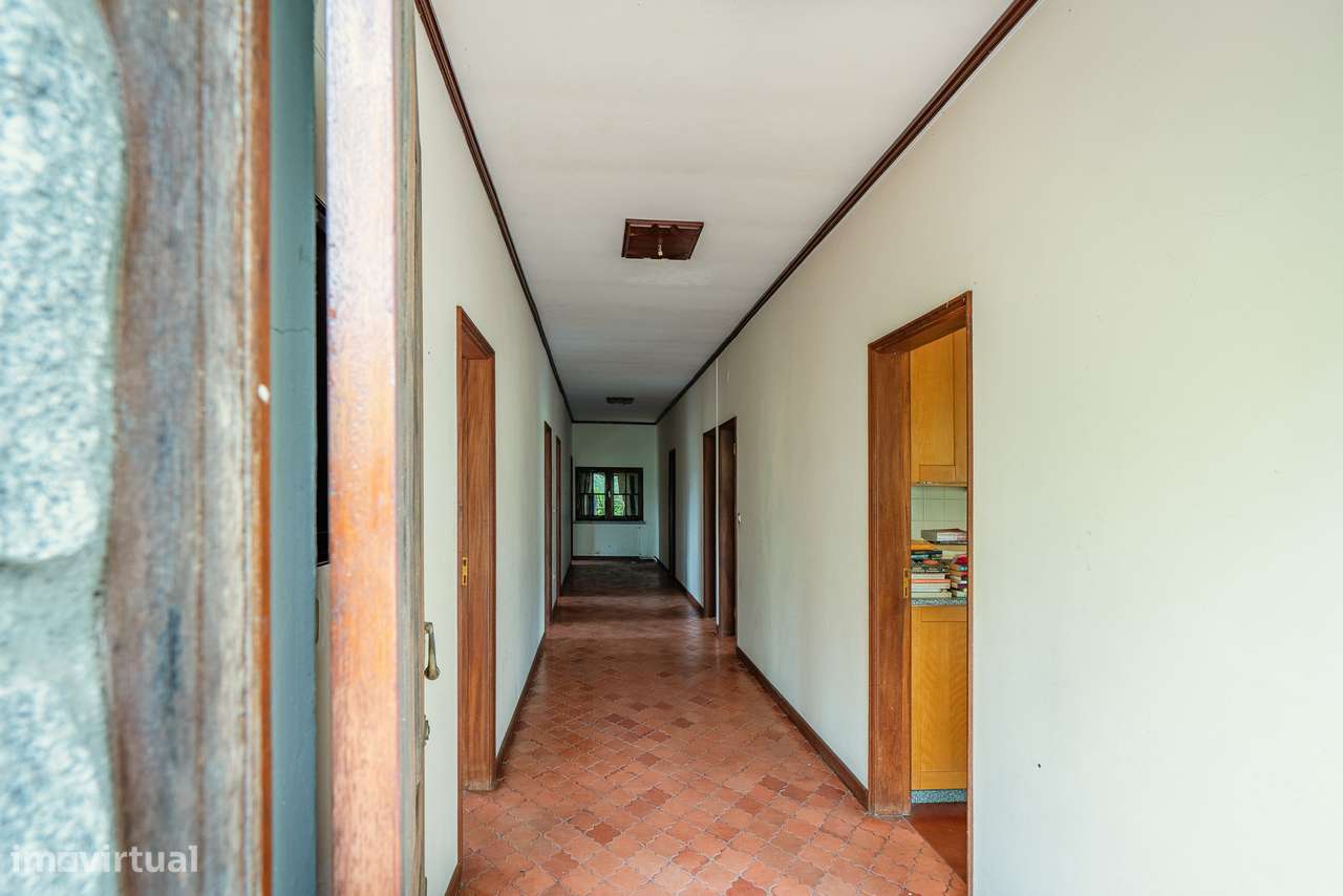 Quinta com 5,5 ha e Projecto Aprovado p/Hotel Rural 4 Estrelas - Viseu-16