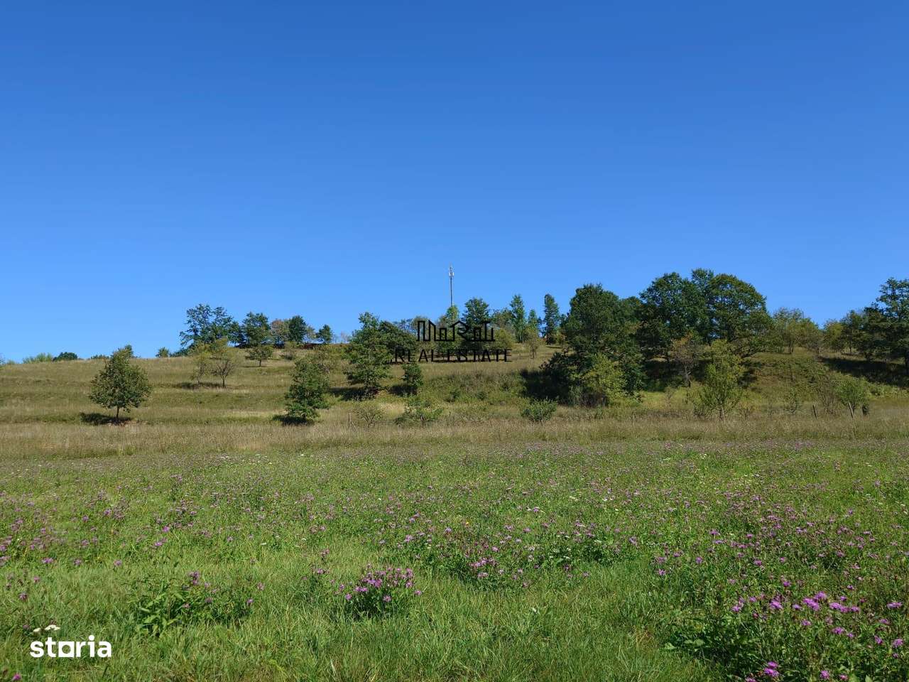 Teren intravilan 8757 mp cu potential turistic si acces direct la E79-5