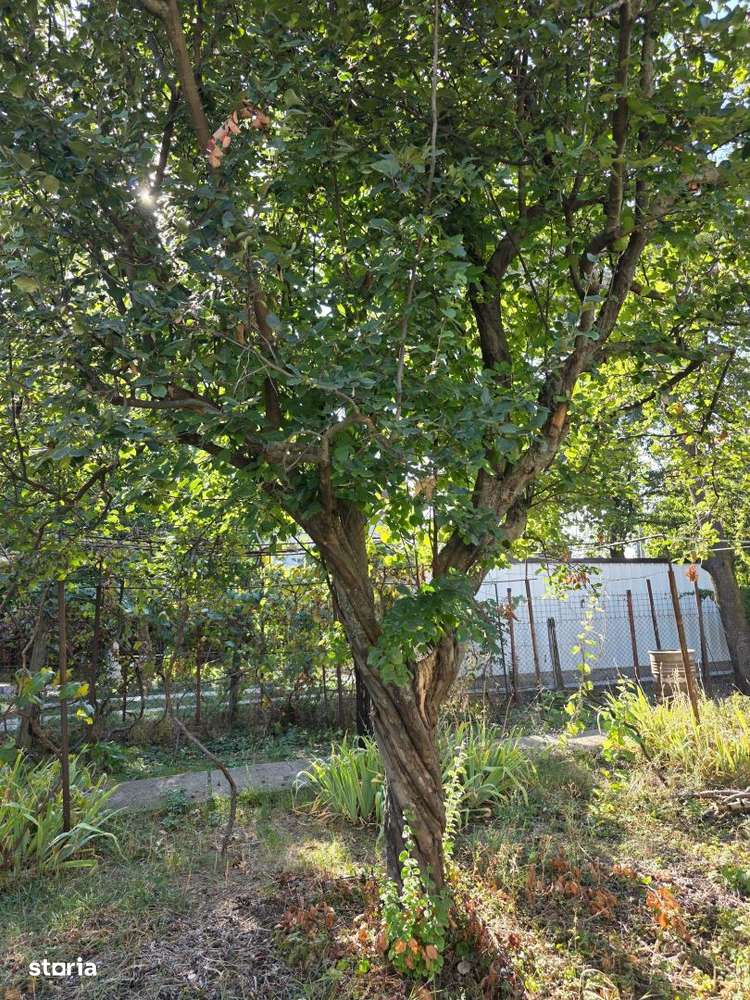 Teren construibil pentru vila sau proiect de tip rezidential - Imagine principală: 5/8