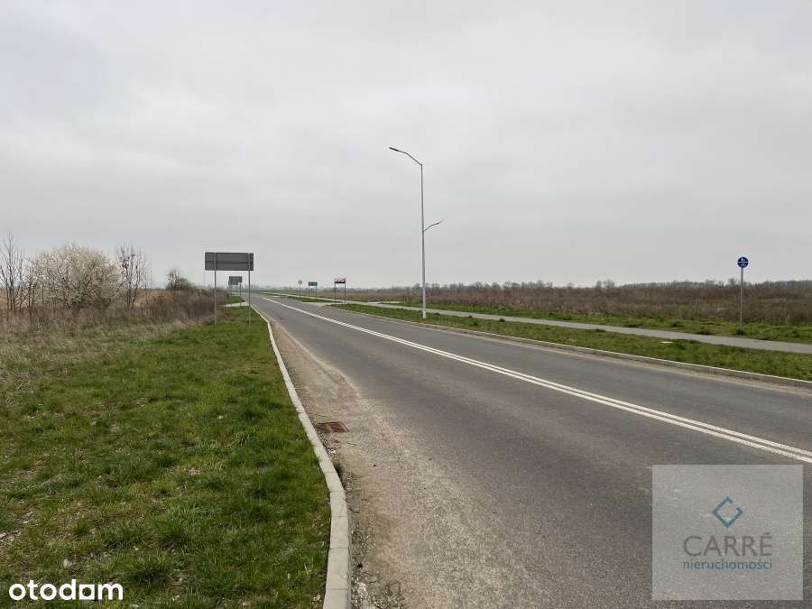 Przecław - działka do wynajęcia - Pełny obrazek: 4/5