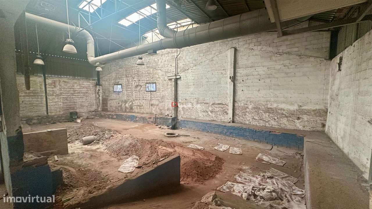 Armazém, Industria em Oliveira do Douro-18