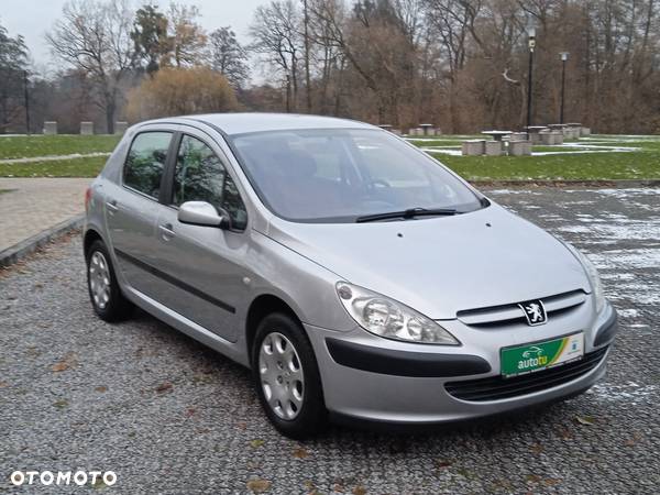 Peugeot 307 1.6 Premium - 13