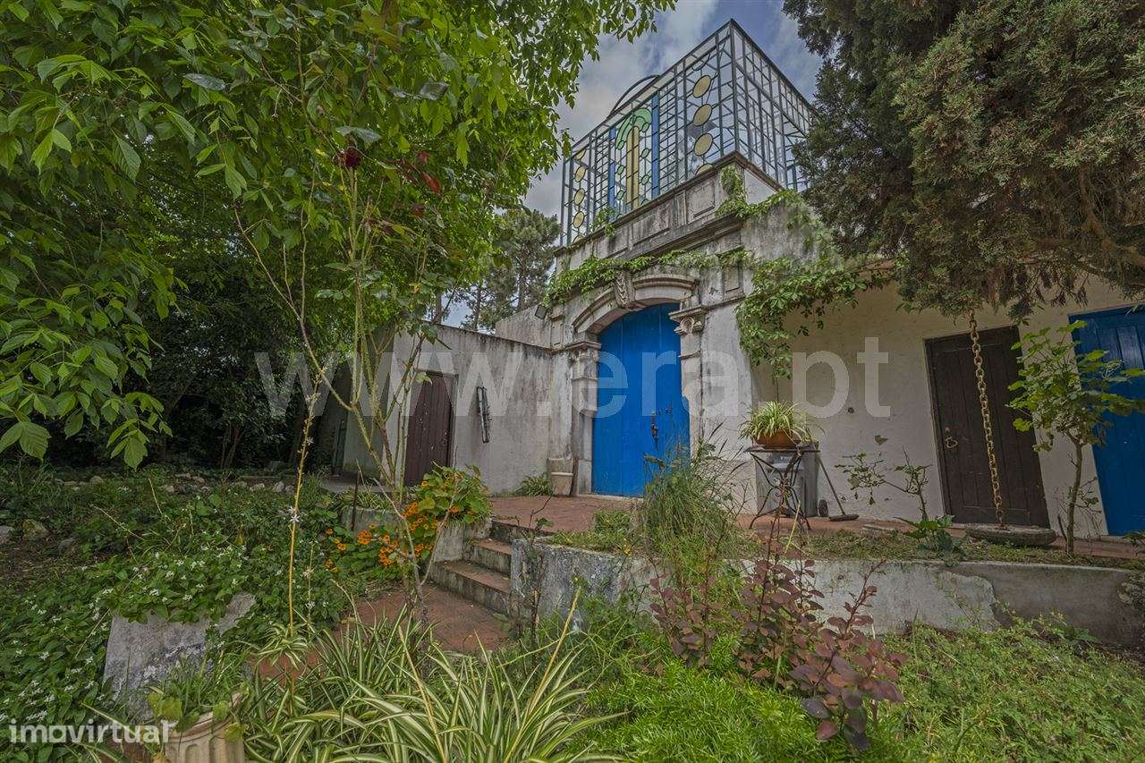 Magnifica Quinta T7; Verdizela-35