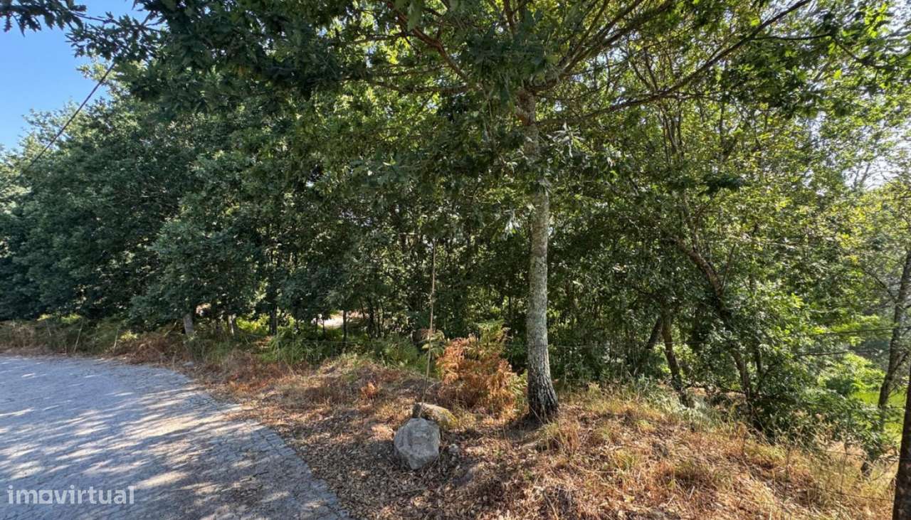 Venda Terreno, Boelhe, Penafiel-18