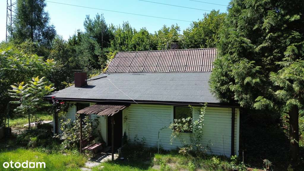 Dom 56 m² + działka 1829 m² z możliwością podziału - Pełny obrazek: 5/15