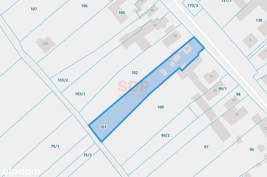 Ścinawa, gm. Oława, Mn i Mu, 2299 m2 - Pełny obrazek: 4/13