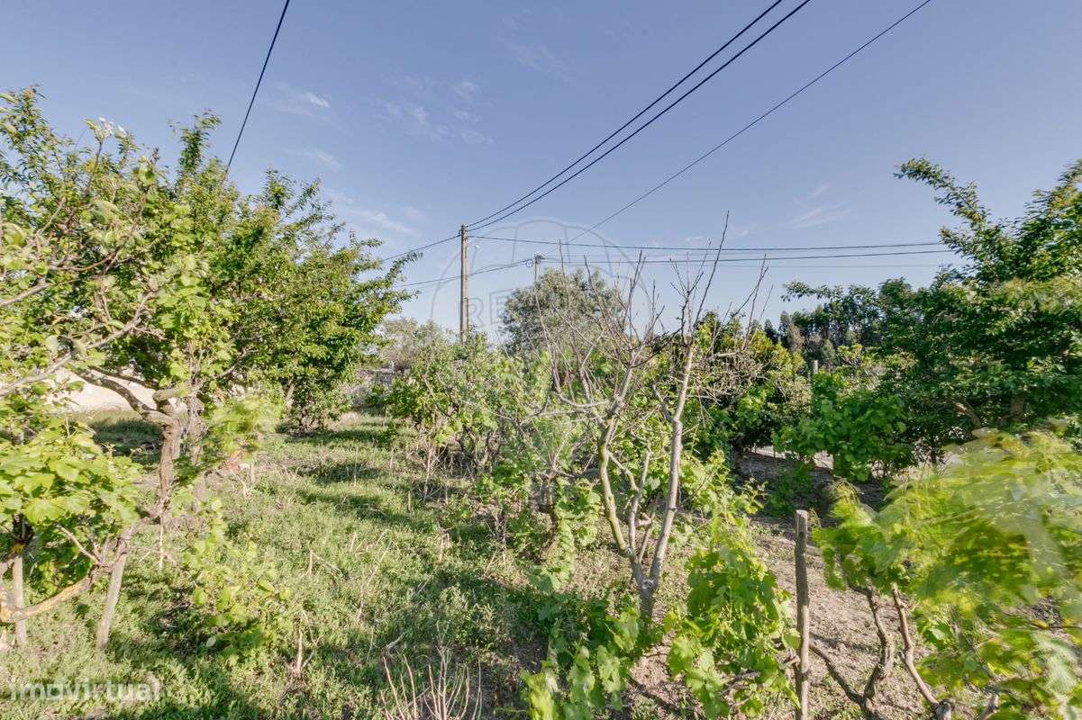 Moradia T2 para venda - Grande imagem: 3/6