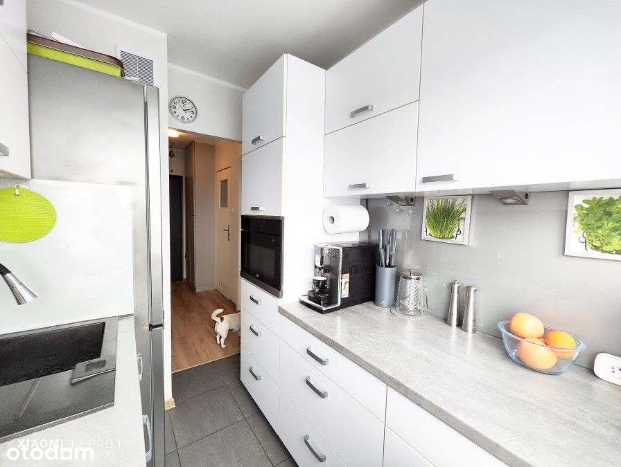 Po kapitalnym remoncie z pięknym widokiem-6