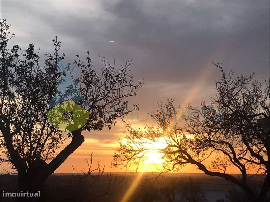 Terreno fértil em zona rural, para agricultura, projeto florestal, ... - Grande imagem: 4/7