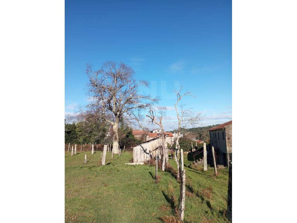 Moradia T3 - Troporiz, Monção-7