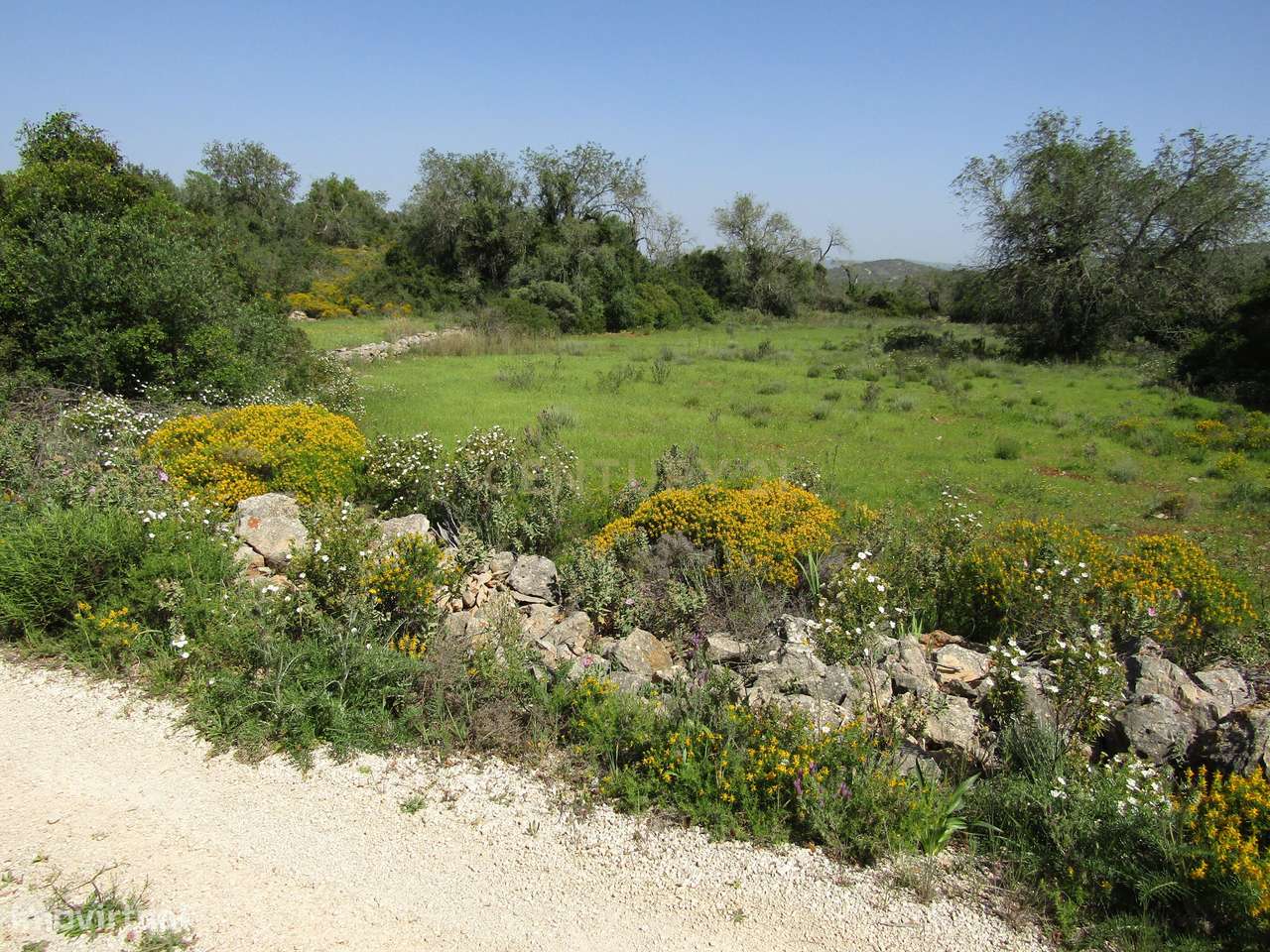 Terreno Rústico - Grande imagem: 2/3