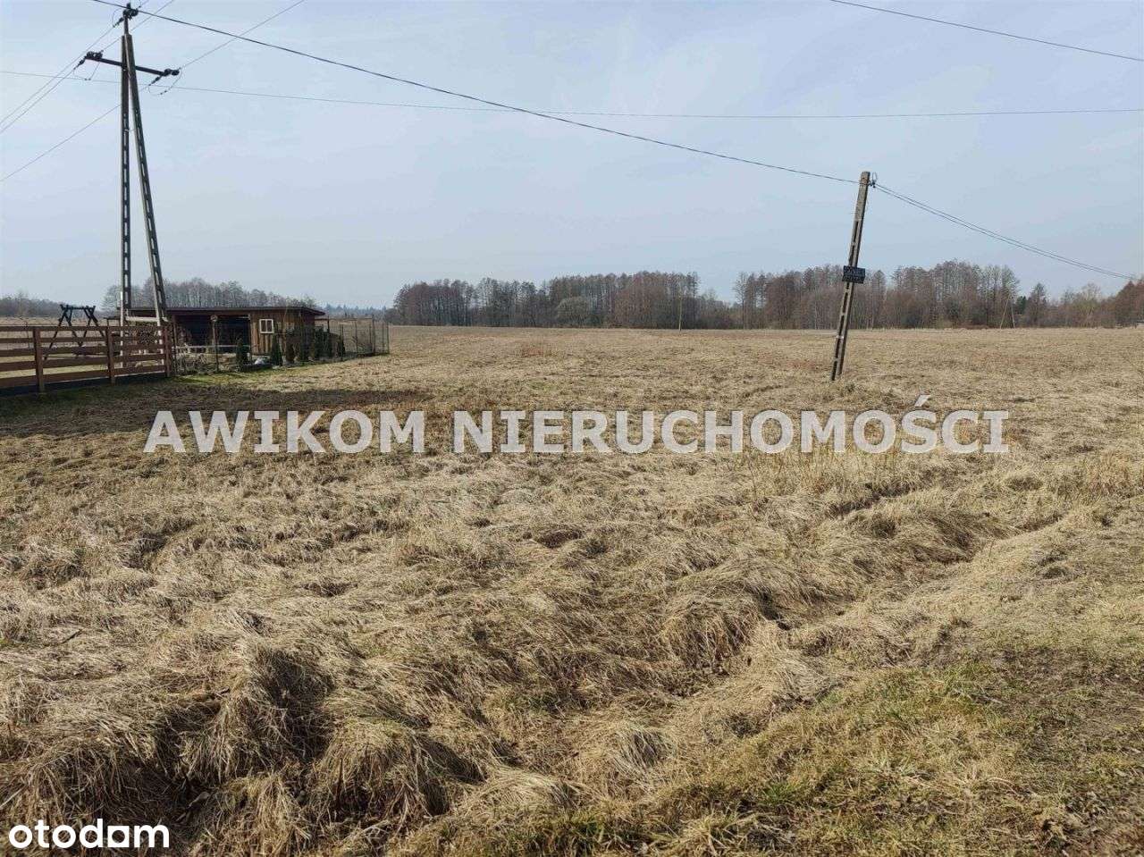 Działka, 5 700 m², Białowieża - Pełny obrazek: 4/4