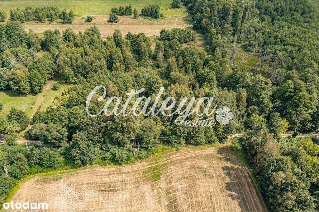 Inwestycja/Ranczo/pod Warszawą/las/cisza/spokój/ - Pełny obrazek: 5/12