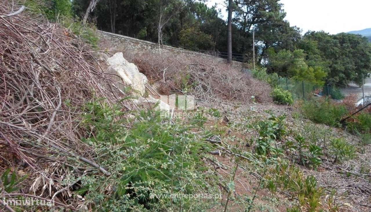 Venda de terreno c/ vistas mar, Monserrate, Viana do Castelo - Grande imagem: 4/4