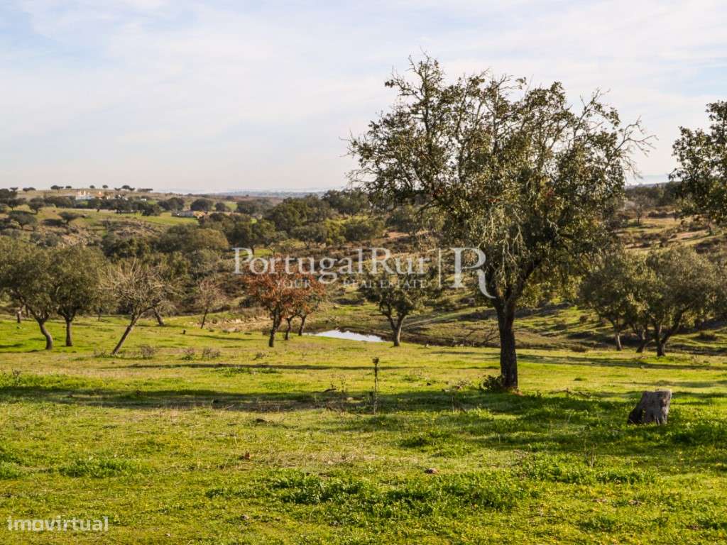 Herdade de 60 ha e monte, em Reguengos de Monsaraz-19