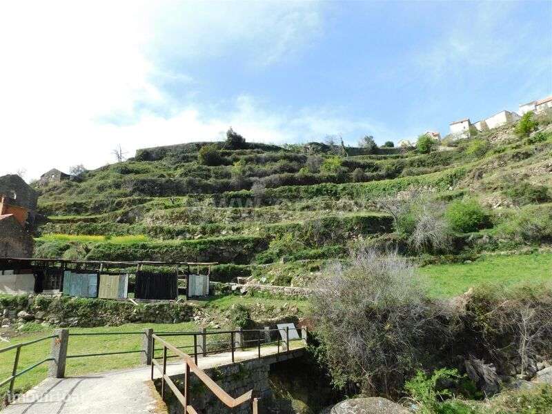 Quintinha / Seia, Loriga - Grande imagem: 4/13