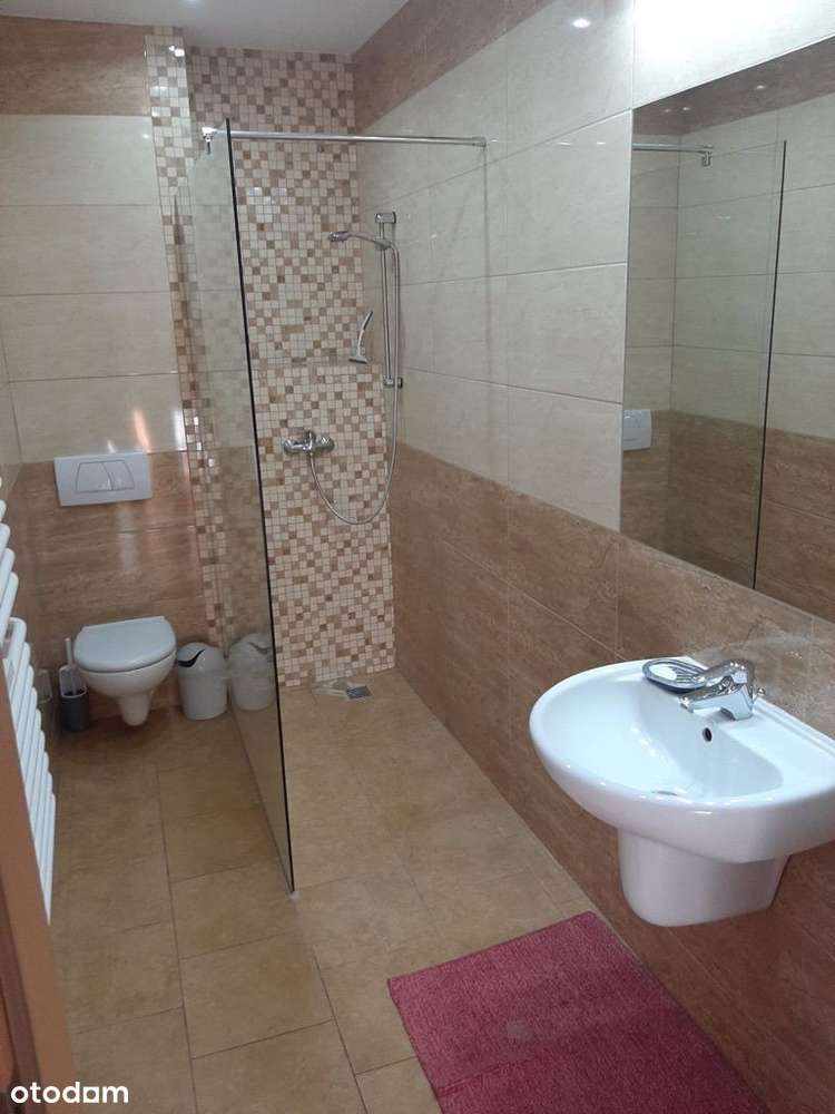 Dom dwurodzinny lub dom+biuro w Przeźmierowie-12