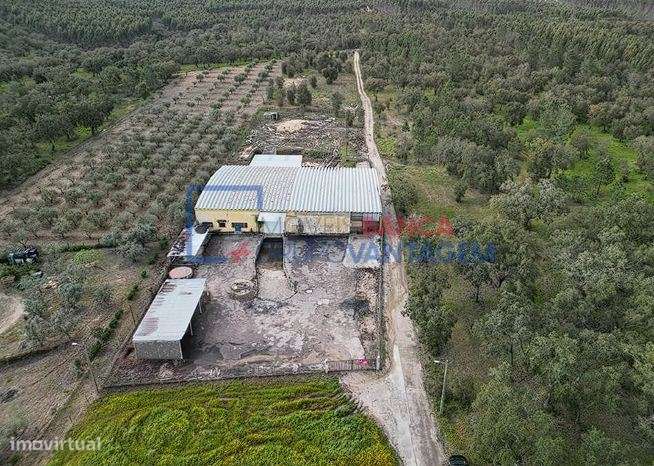 Armazém, para venda, Chamusca - Parreira e Chouto - Grande imagem: 3/3