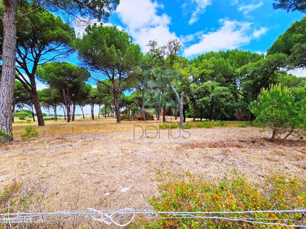 Lote de Terreno de 33.300m2, com lagoa, na Mata do Duque 1, Santo E...-22