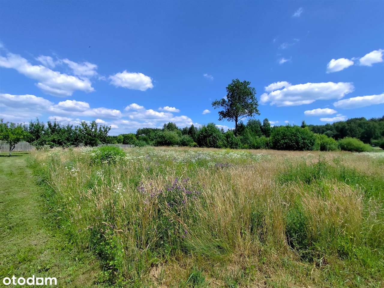 Sliczne działki 3000/5000m2 10km do Białegostoku - Pełny obrazek: 4/8