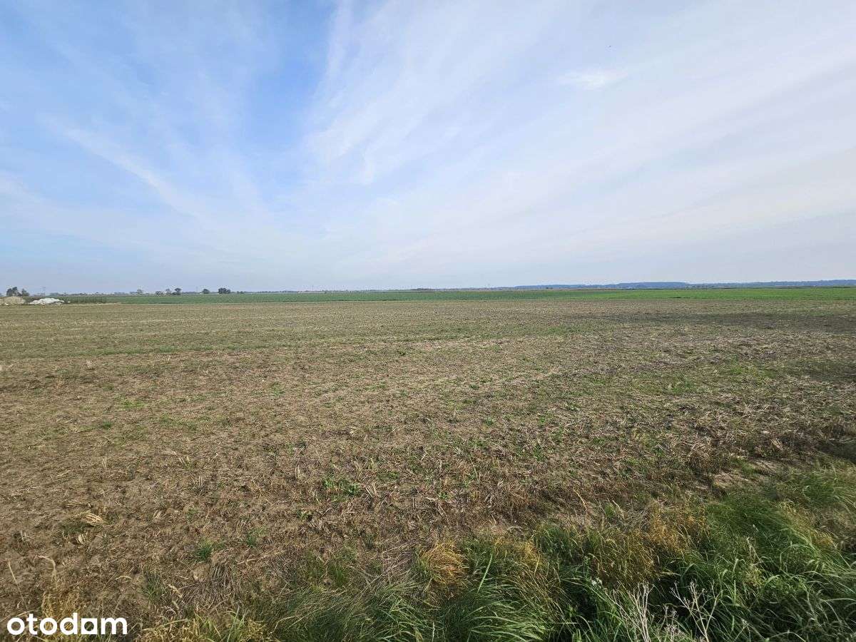 Wybuduj swój dom - Pełny obrazek: 5/6