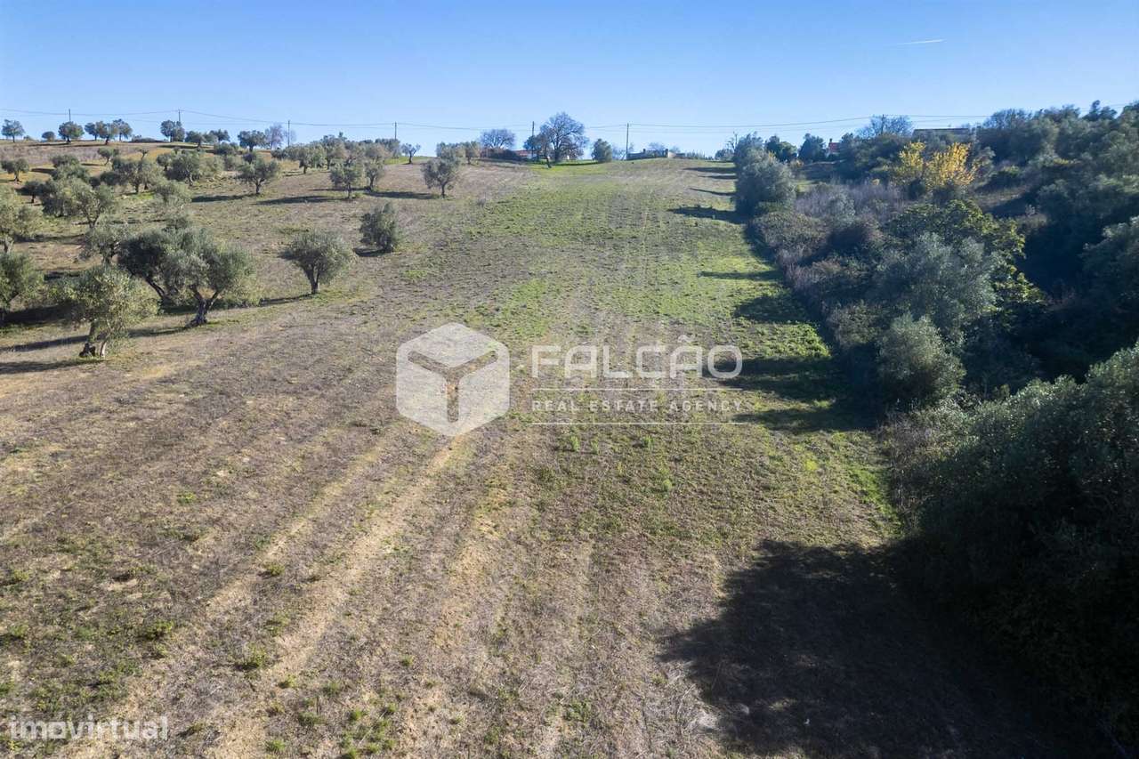 Terreno Para Construção  Venda em Moçarria,Santarém-8