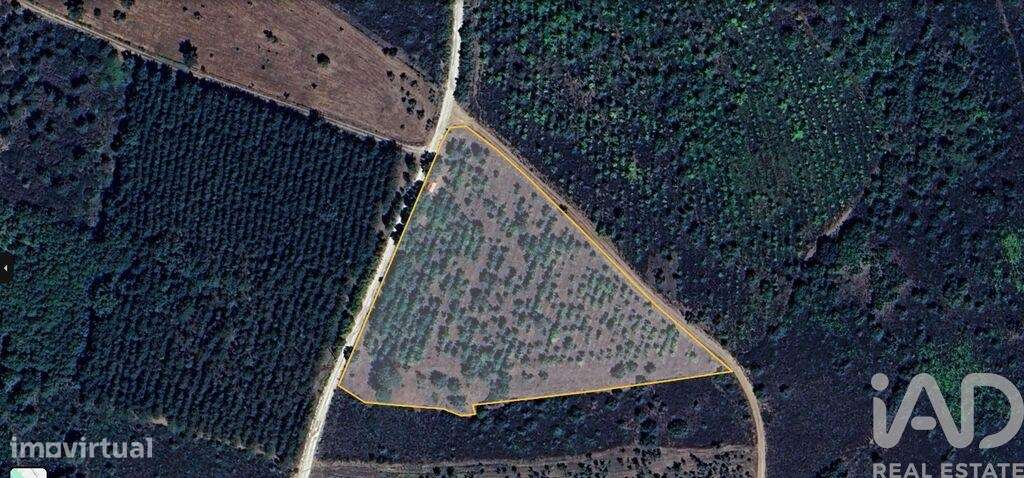 Terreno Agrícola em Sabugal e Aldeia de Santo António - Grande imagem: 4/5