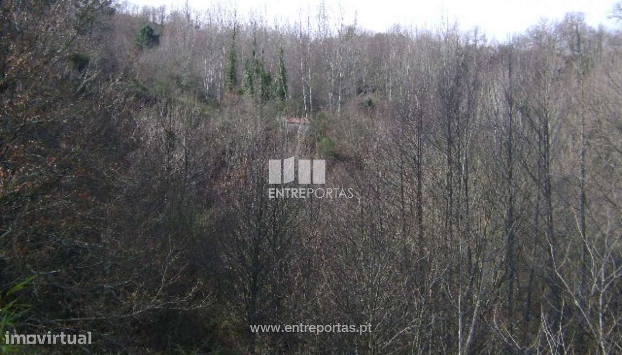 Venda Terreno, Campelo, Baião - Grande imagem: 5/5