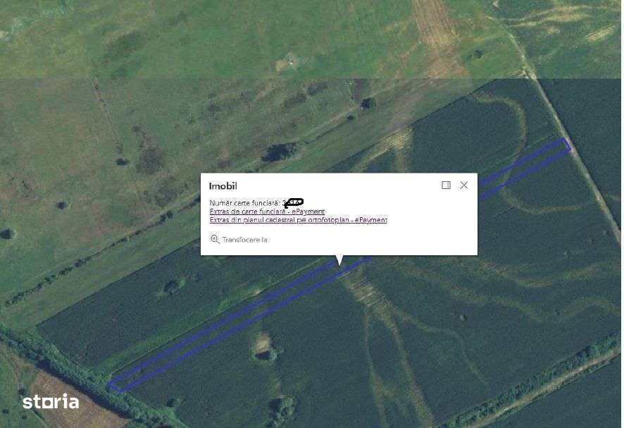 Teren extravilan 5000 mp, Com Ungheni, Jud Arges - Imagine principală: 3/3