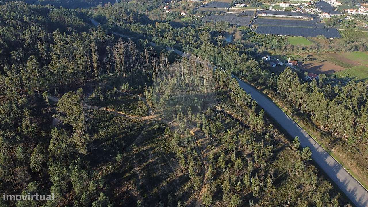 Terreno  para venda - Grande imagem: 4/6